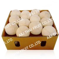 4U_Box24_Polished Coconut Boil _Cone Type