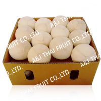 4U_Box24_Polished Coconut _Cone Type