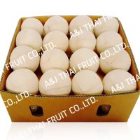 4U_Box32_Polished Coconut _Cone Type