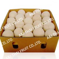 4U_Box40_Polished Coconut Boil _Cone Type