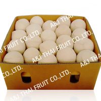 4U_Box40_Polished Coconut _Cone Type