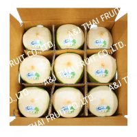 4U_Box9_diamond type_coconut white with semi green