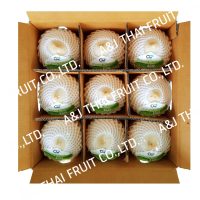 4u_box9_diamond-type_coconut-with-white-husk-1