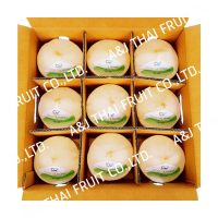 4U_Box9_diamond type_coconut with white husk