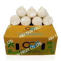 4U_Group_Polished Coconut  Boil_Cone Type