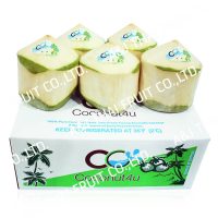4U_Group_diamond type_coconut white with semi green