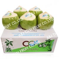 4U_Group_diamond type_coconut with green husk